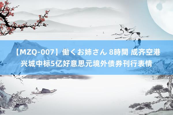 【MZQ-007】働くお姉さん 8時間 成齐空港兴城中标5亿好意思元境外债券刊行表情