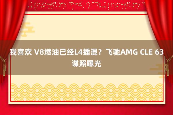 我喜欢 V8燃油已经L4插混？飞驰AMG CLE 63谍照曝光