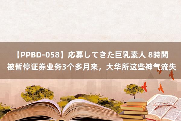 【PPBD-058】応募してきた巨乳素人 8時間 被暂停证券业务3个多月来，大华所这些神气流失