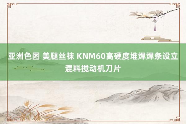 亚洲色图 美腿丝袜 KNM60高硬度堆焊焊条设立混料搅动机刀片