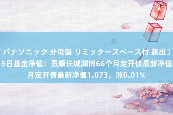 パナソニック 分電盤 リミッタースペース付 露出・半埋込両用形 9月5日基金净值：景顺长城渊博66个月定开债最新净值1.073，涨0.01%